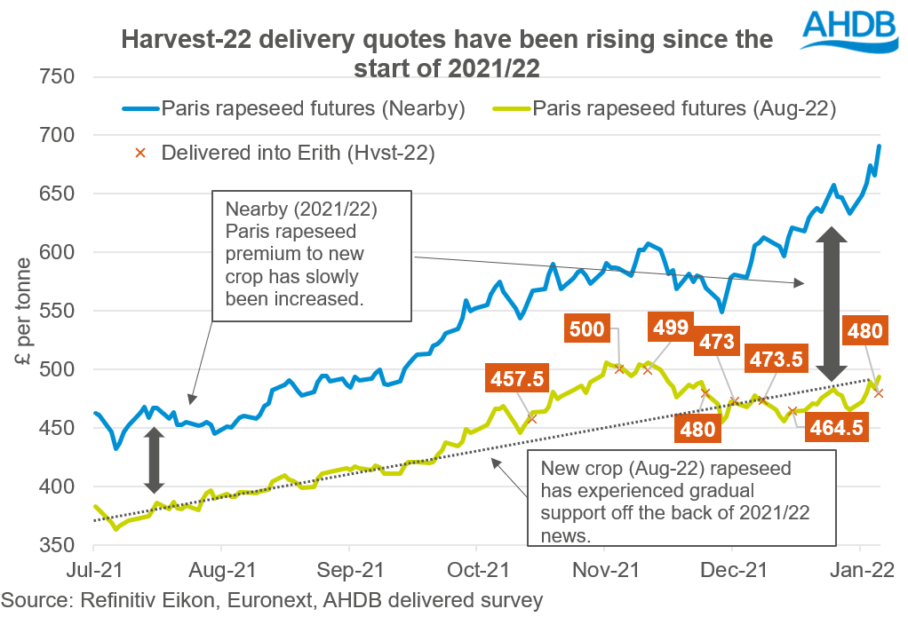 A graph showing nearby rapeseed futures against new crop futures
